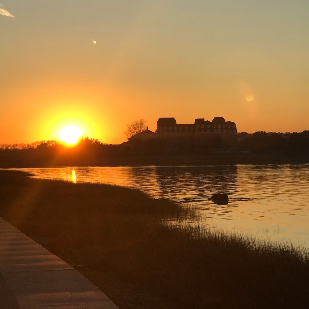 Meet your Posher, Anne